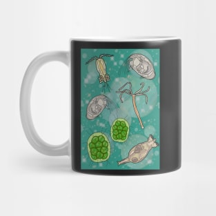 Freshwater Organisms Mug